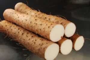 Wild Yam прах