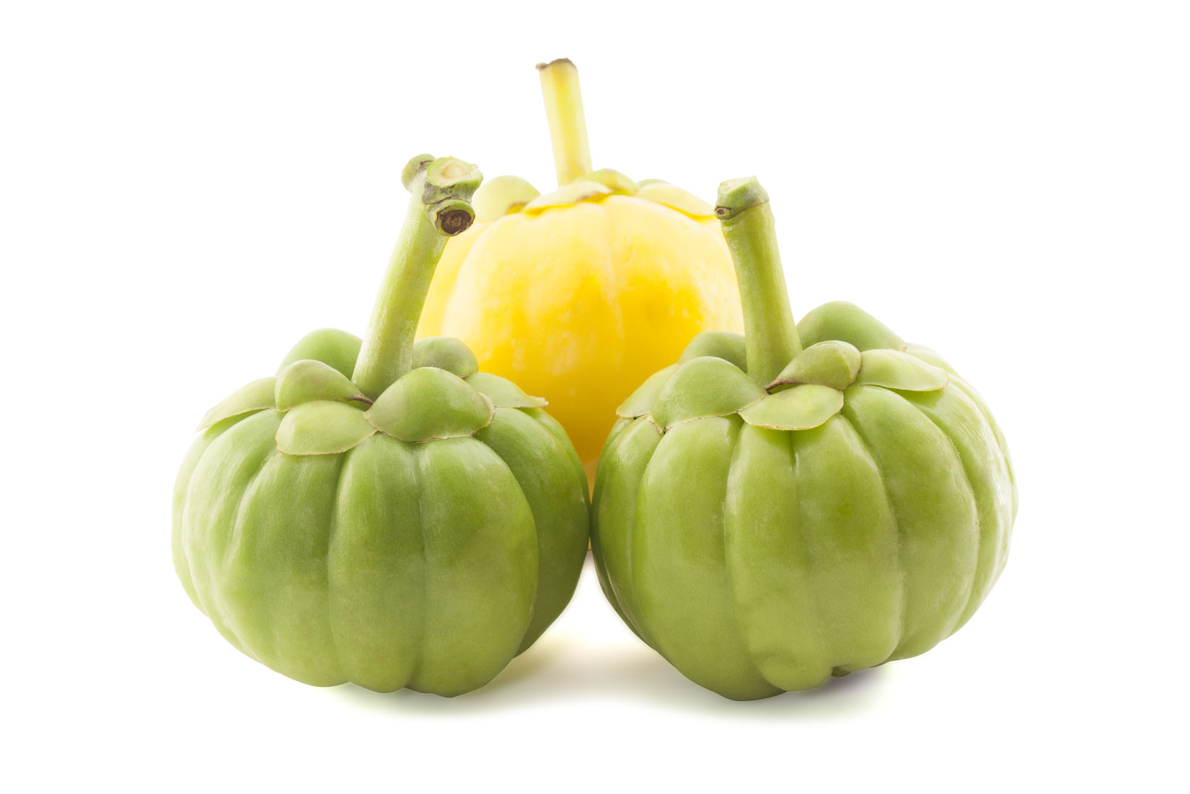Защо е толкова популярна garcinia cambogia?