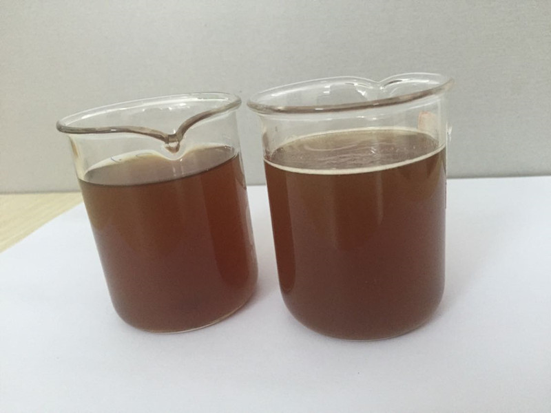 Разтворимостта на Echinacea Extract-4% полифенол